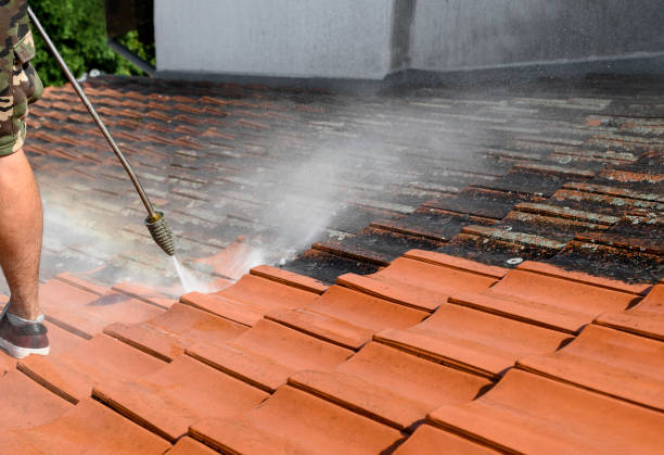Best Exterior Home Cleaning  in The Dalles, OR